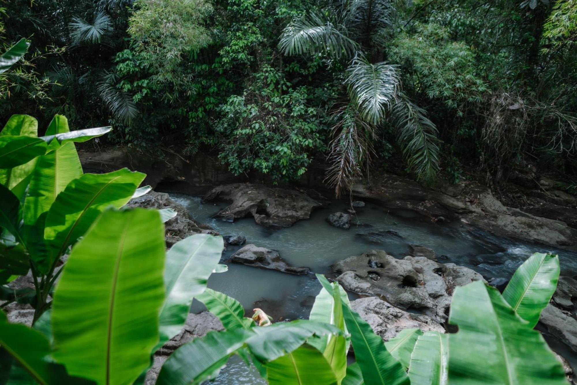 Sun Sang Eco Retreats Hotel Tabanan  Exterior photo